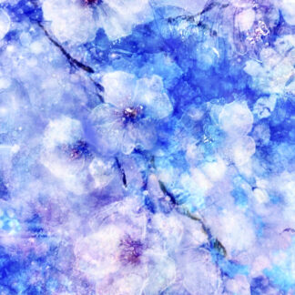 咲愛　凛々華 「花ごころ」